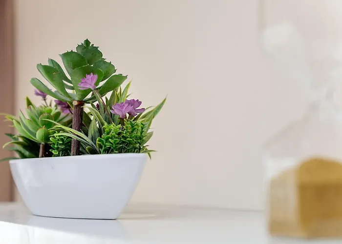 Summertime In South Bay